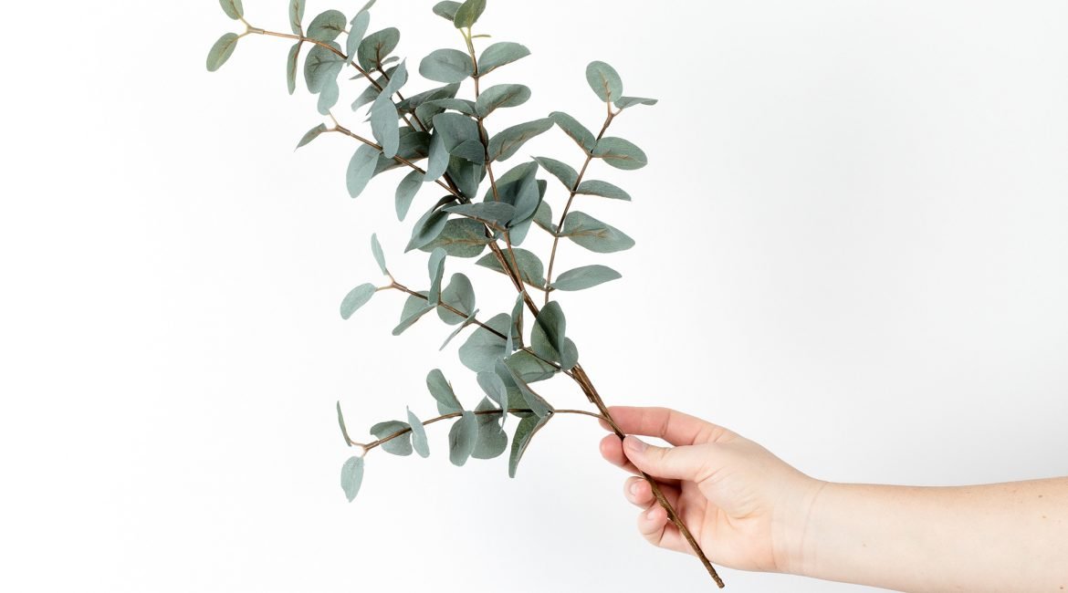 Lavado de Tapetes y Muebles